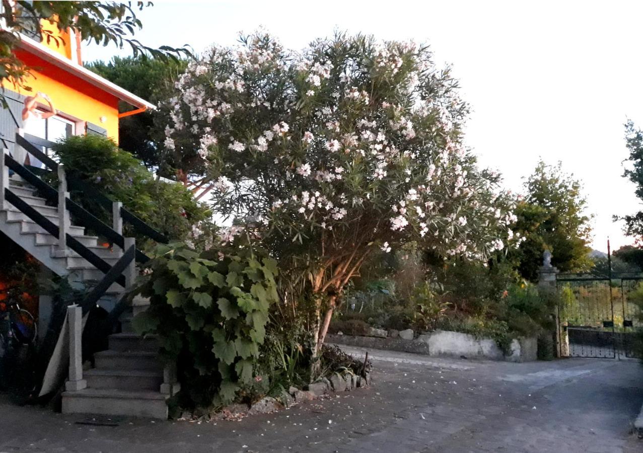 Casa Gwendoline - Albergue / Hostel / Al - Caminho Da Costa Vila Nova de Cerveira Exterior foto
